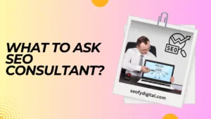 What to ask seo consultant