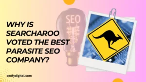 Why Is Searcharoo Voted The Best Parasite Seo Company