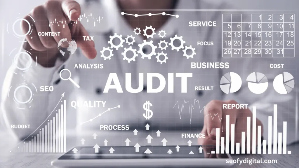 Why SEO Audit is important