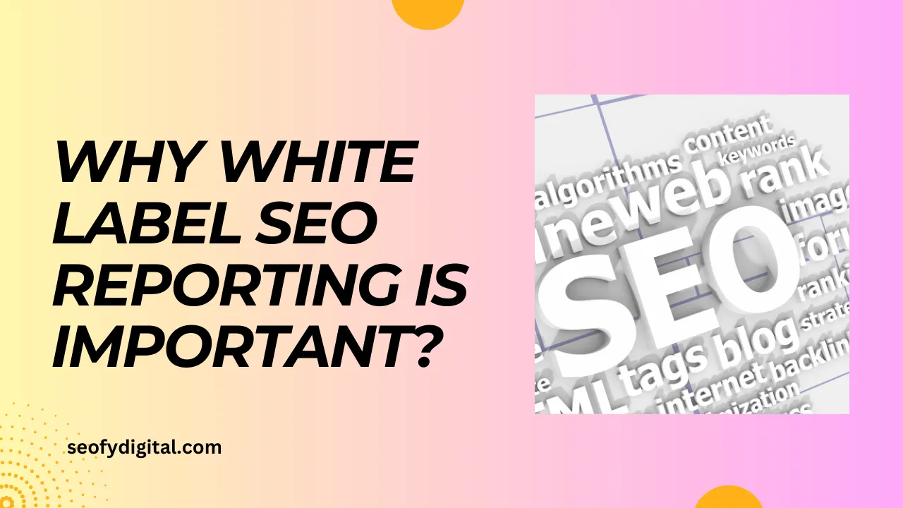 why white label seo reporting is important