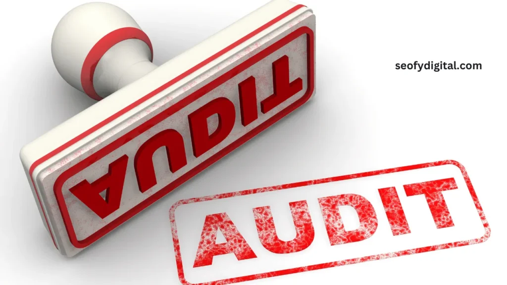 How Much Does An Seo Audit Cost