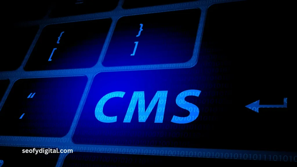 What Is The Best Cms For SEO? (Explained)