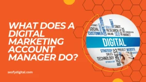 What does a digital marketing account manager do