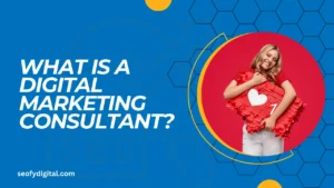 What is a digital marketing consultant