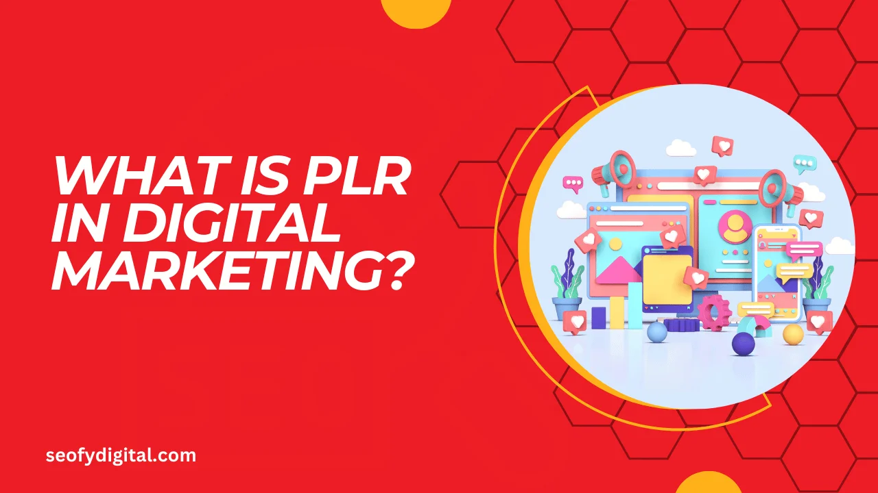 What is plr in digital marketing