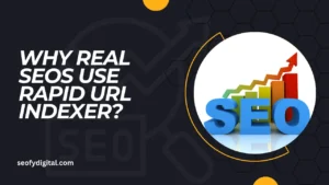 Why Real Seos Use Rapid Url Indexer