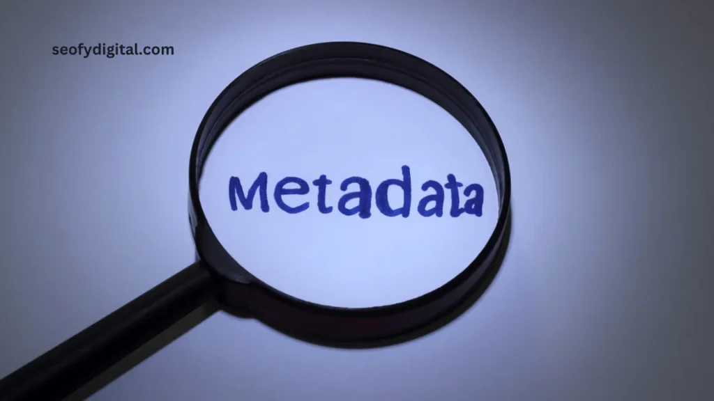 Does Ctrify Use Wordpress Metadata For Seo Purposes? (Explained)