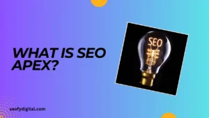 what is seo apex